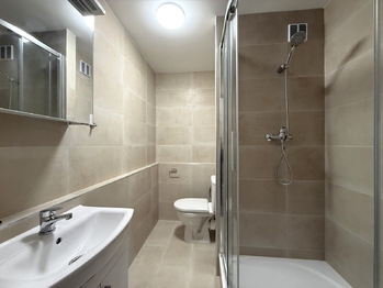 Pronájem bytu 1+kk v osobním vlastnictví 26 m², Plzeň