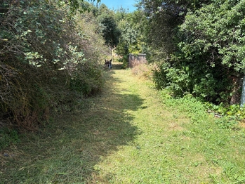 Prodej domu 127 m², Štědrá
