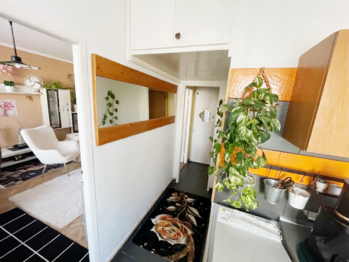 Prodej bytu 1+1 v osobním vlastnictví 36 m², Havířov