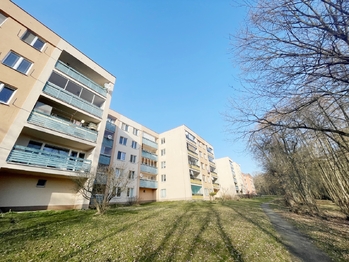 Pronájem bytu 3+1 v družstevním vlastnictví 86 m², Havířov