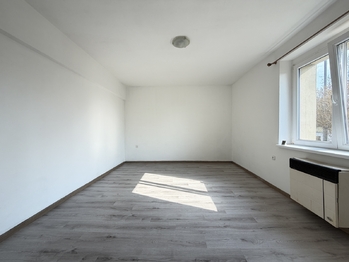 Prodej bytu 1+1 v osobním vlastnictví 50 m², Benátky nad Jizerou