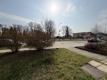 Prodej bytu 1+1 v osobním vlastnictví 50 m², Benátky nad Jizerou