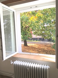 pohled z okna do zeleně - Pronájem bytu 1+1 v osobním vlastnictví 33 m², Pardubice