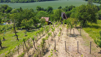 Prodej chaty / chalupy 15 m², Mikulov