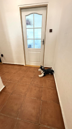 Pronájem bytu 2+kk v osobním vlastnictví 43 m², Břeclav