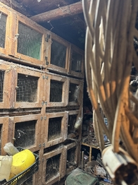 vedlejší stavba - chov králíků - Prodej chaty / chalupy 50 m², Praha 5 - Lipence