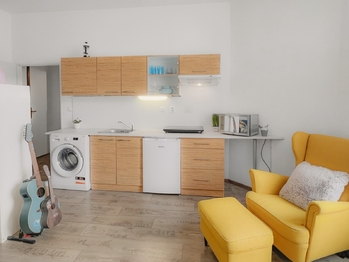 Pronájem bytu 1+kk v osobním vlastnictví 24 m², Praha 10 - Vršovice