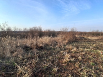 Prodej pozemku 1015 m², Havraníky