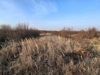 Prodej pozemku 1015 m², Havraníky