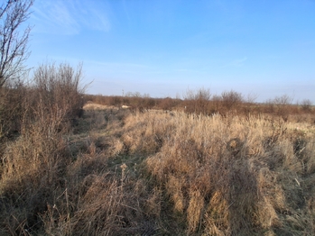 Prodej pozemku 1015 m², Havraníky