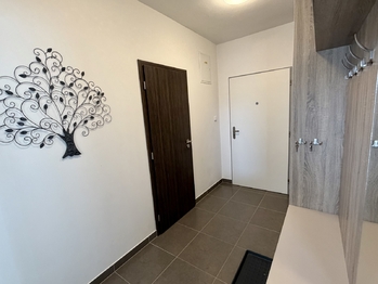 Prodej bytu 2+kk v osobním vlastnictví 113 m², Mladá Boleslav