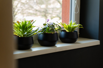 Prodej bytu 4+kk v osobním vlastnictví 175 m², Ostrava