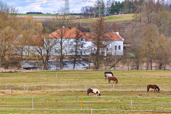 Prodej rodinného domu 4+kk s pozemkem 480 m² - Střelice, Stod, Plzeň jih - Prodej bytu 4+kk v osobním vlastnictví 95 m², Střelice