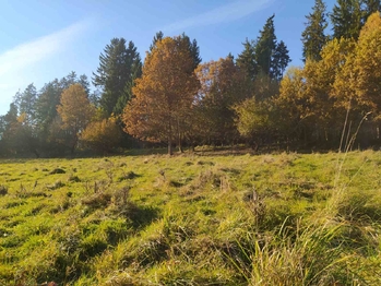 Prodej pozemku 20332 m², Kynšperk nad Ohří
