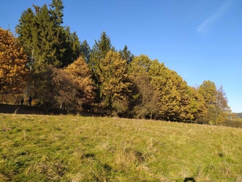 Prodej pozemku 20332 m², Kynšperk nad Ohří