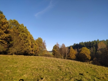 Prodej pozemku 20332 m², Kynšperk nad Ohří