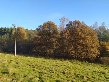 Prodej pozemku 20332 m², Kynšperk nad Ohří