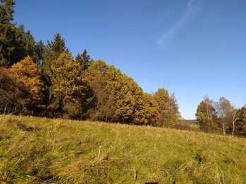 Prodej pozemku 20332 m², Kynšperk nad Ohří