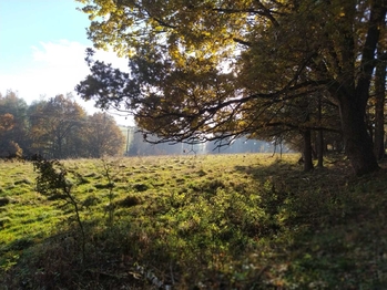 Prodej pozemku 20332 m², Kynšperk nad Ohří