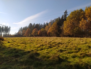 Prodej pozemku 20332 m², Kynšperk nad Ohří