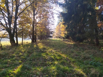Prodej pozemku 20332 m², Kynšperk nad Ohří