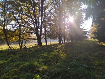 Prodej pozemku 20332 m², Kynšperk nad Ohří
