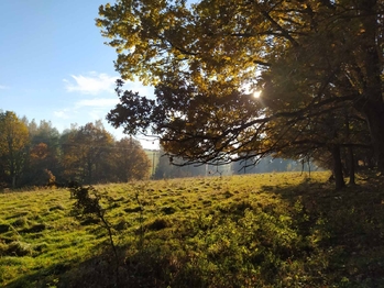 Prodej pozemku 20332 m², Kynšperk nad Ohří