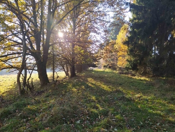 Prodej pozemku 20332 m², Kynšperk nad Ohří