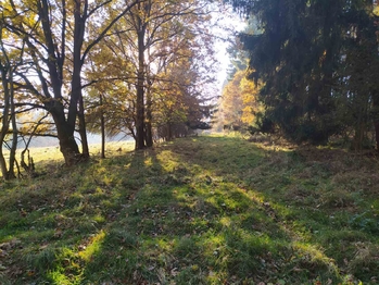 Prodej pozemku 20332 m², Kynšperk nad Ohří