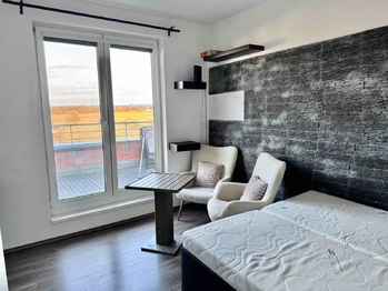 Pokoj - Pronájem bytu 1+kk v osobním vlastnictví 32 m², Praha 10 - Pitkovice