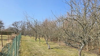 Zahrada - Prodej domu 176 m², Výkleky