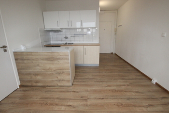 Pronájem bytu 1+1 v osobním vlastnictví 36 m², Bechyně