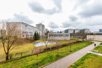 16. Výhledy z bytu na jihovýchod - Pronájem bytu 1+1 v osobním vlastnictví 35 m², Pardubice