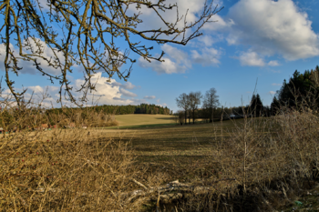 Prodej pozemku 391 m², Písek