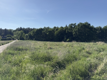 Prodej pozemku 391 m², Písek