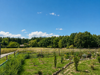 Prodej pozemku 391 m², Písek