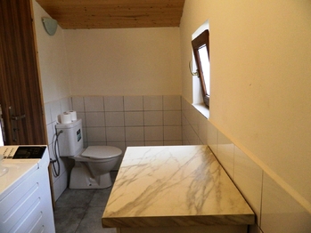 WC. - Prodej chaty / chalupy 65 m², Chotoviny