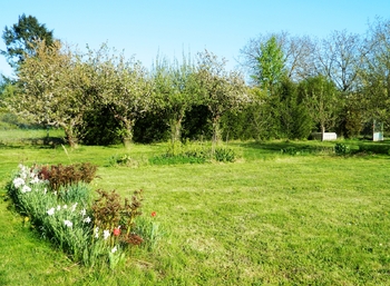 Zahrada. - Prodej chaty / chalupy 65 m², Chotoviny