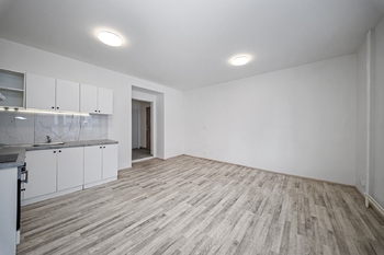 vstup do obývacího pokoje - Prodej bytu 2+kk v osobním vlastnictví 48 m², Brno