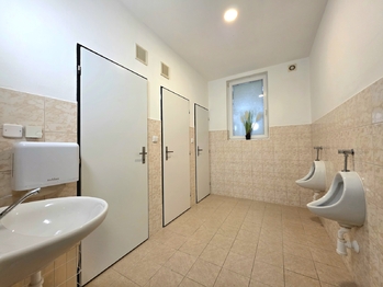 Pronájem obchodních prostor 307 m², Žatec