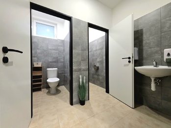 Pronájem obchodních prostor 307 m², Žatec