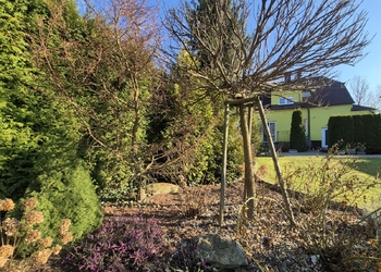 Prodej domu 171 m², Svitavy