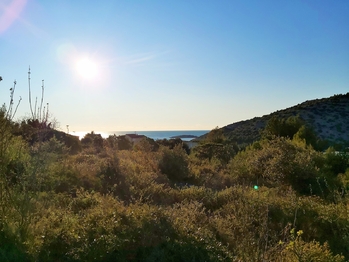 Prodej pozemku 4462 m², Rogoznica