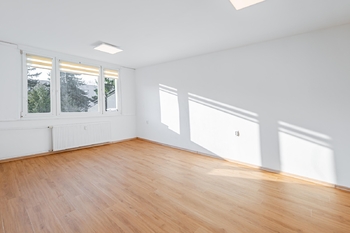 Obývací pokoj/ložnice. - Pronájem bytu 1+1 v osobním vlastnictví 41 m², Jindřichův Hradec