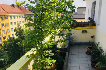 Prodej bytu 2+kk v osobním vlastnictví 67 m², Praha 4 - Michle