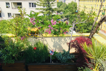 Prodej bytu 2+kk v osobním vlastnictví 67 m², Praha 4 - Michle