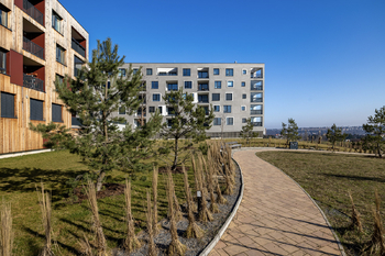 Okolí domu - Prodej bytu 1+kk v družstevním vlastnictví 41 m², Praha 6 - Ruzyně