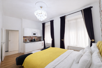 Pronájem bytu 1+kk v osobním vlastnictví 24 m², Praha 1 - Nové Město