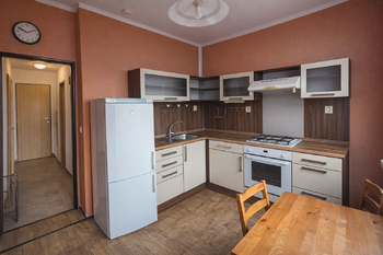 Prodej bytu 1+1 v družstevním vlastnictví 40 m², Orlová