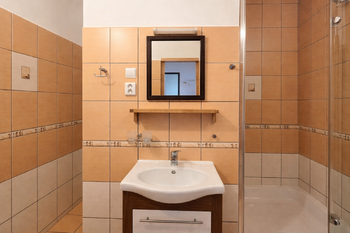 Prodej bytu 1+1 v družstevním vlastnictví 40 m², Orlová